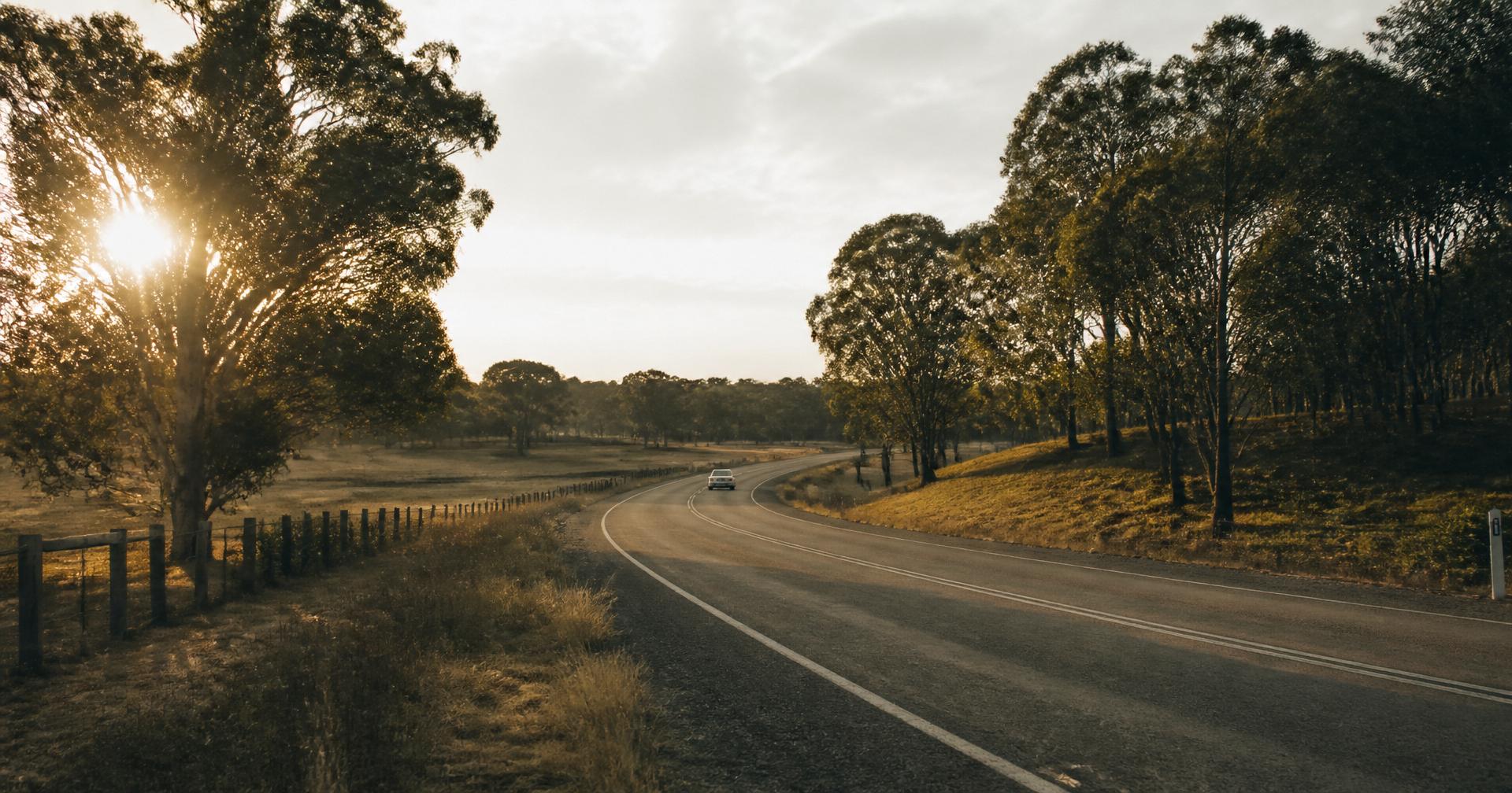 An open country road curving through Australian bush at first light